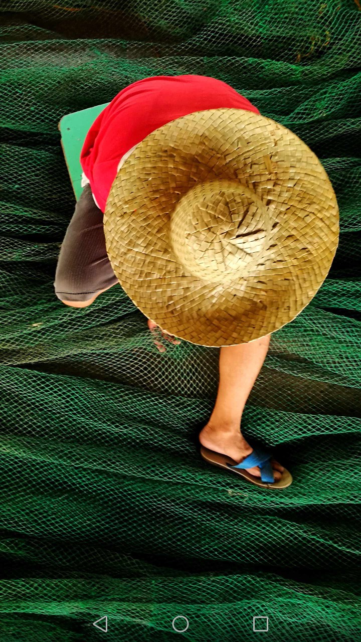 Arunas