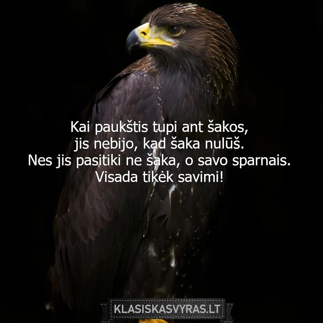 Dimas