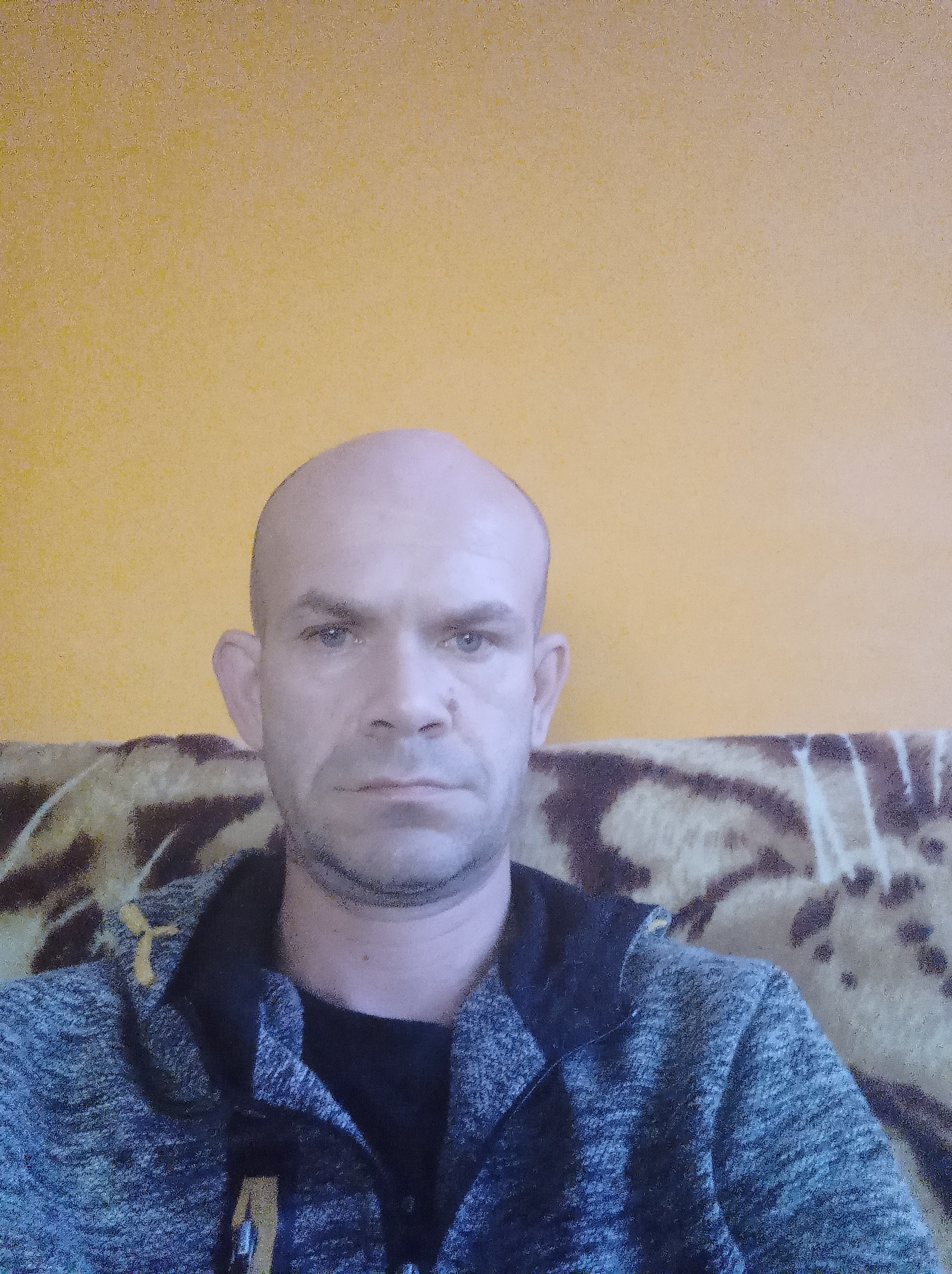 Kestas