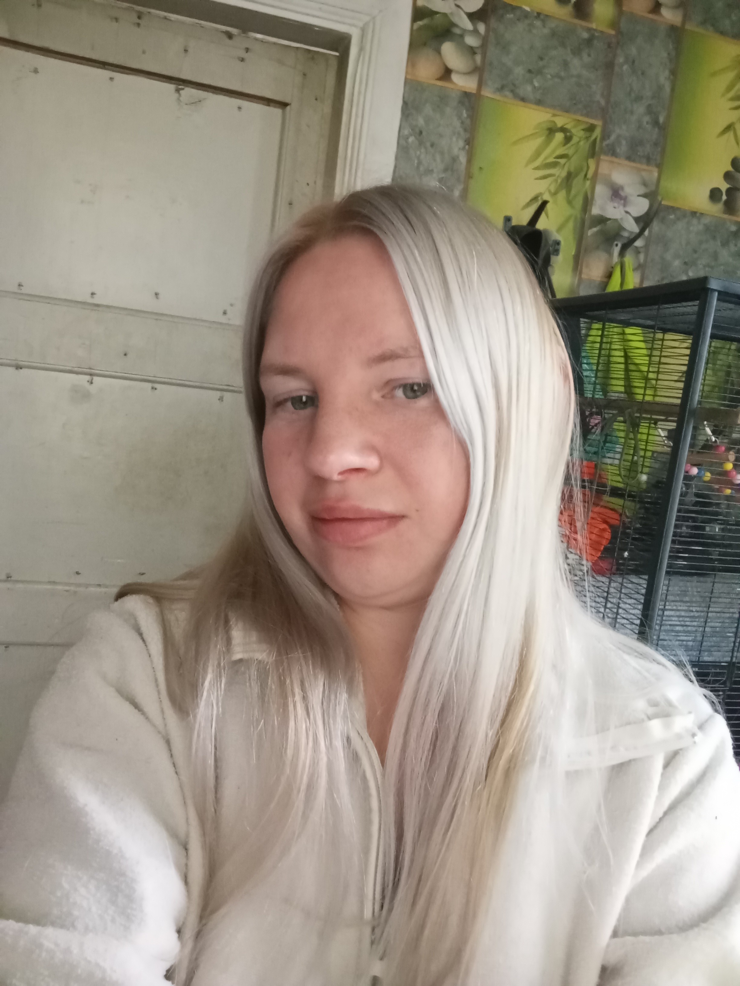 Vaida