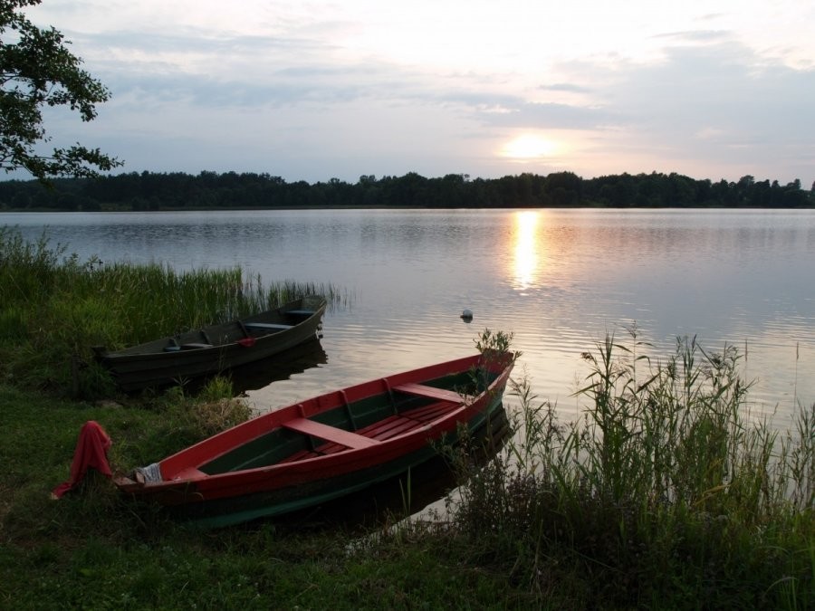 Panevėžietis